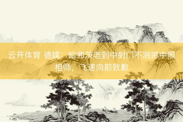 云开体育 德媒：哈弗茨老到中射门不测掷中照相师，飞速向前致歉