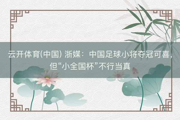云开体育(中国) 浙媒：中国足球小将夺冠可喜，但“小全国杯”不行当真