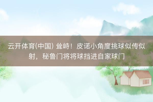 云开体育(中国) 耸峙！皮诺小角度挑球似传似射，秘鲁门将将球挡进自家球门