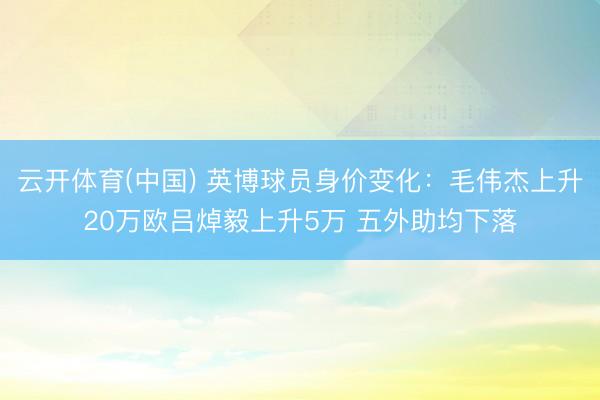 云开体育(中国) 英博球员身价变化：毛伟杰上升20万欧吕焯毅上升5万 五外助均下落