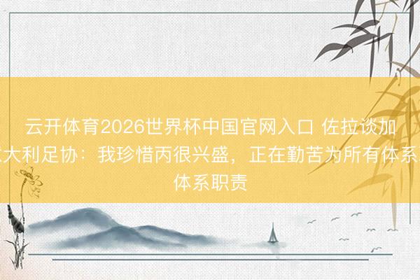云开体育2026世界杯中国官网入口 佐拉谈加入意大利足协：我珍惜丙很兴盛，正在勤苦为所有体系职责