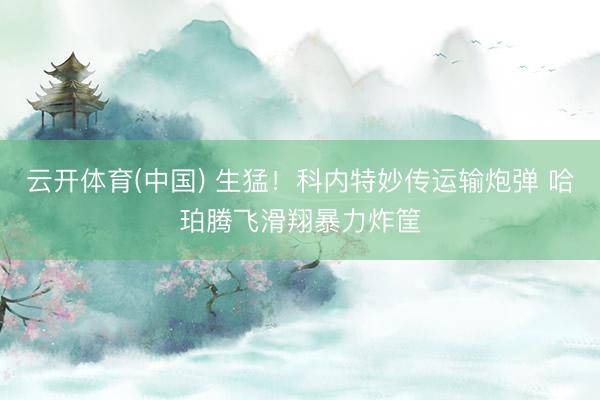 云开体育(中国) 生猛！科内特妙传运输炮弹 哈珀腾飞滑翔暴力炸筐