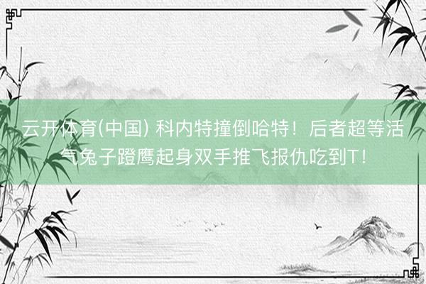 云开体育(中国) 科内特撞倒哈特！后者超等活气兔子蹬鹰起身双手推飞报仇吃到T！
