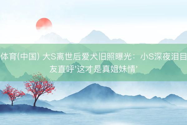 云开体育(中国) 大S离世后爱犬旧照曝光：小S深夜泪目，网友直呼'这才是真姐妹情'