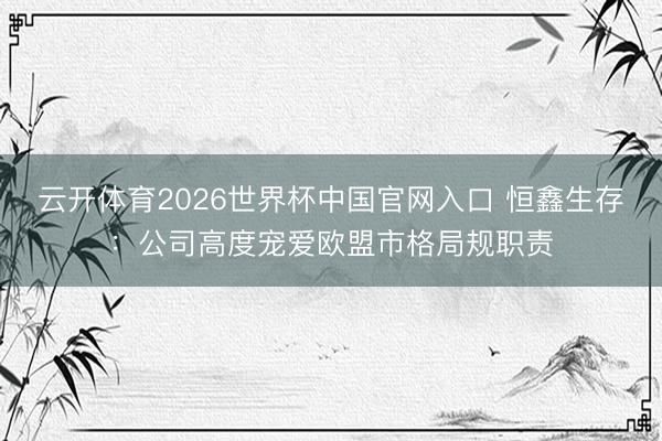 云开体育2026世界杯中国官网入口 恒鑫生存：公司高度宠爱欧盟市格局规职责
