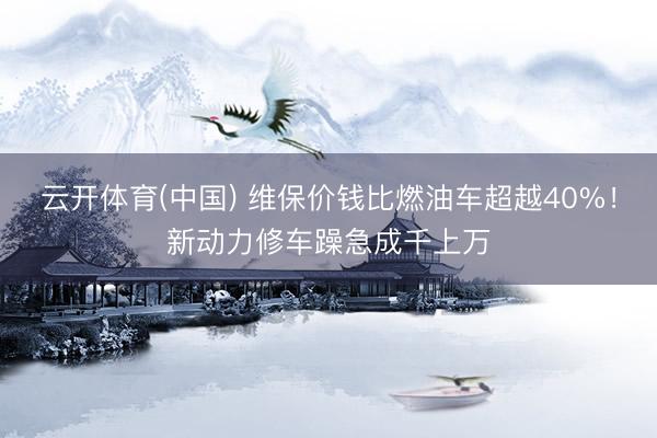 云开体育(中国) 维保价钱比燃油车超越40%！新动力修车躁急成千上万